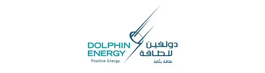 dophin_energy